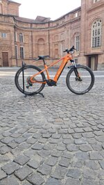 haibike-alltrack-6-usato