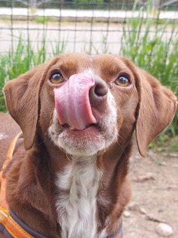 musical e inglese kaos per l ambiente3.jpeg musical e inglese kaos per l ambiente3.jpeg