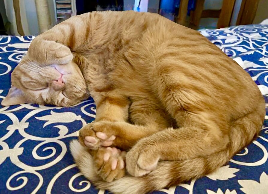 musical e inglese kaos per l ambiente5.jpeg musical e inglese kaos per l ambiente5.jpeg