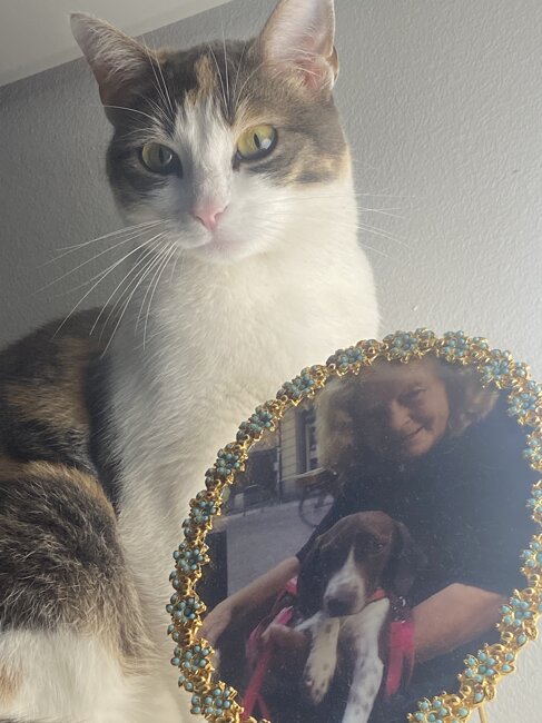 musical e inglese kaos per l ambiente8.jpeg musical e inglese kaos per l ambiente8.jpeg