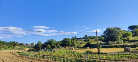 066357c0-3431-4ada-940f-16ecc826c1ff