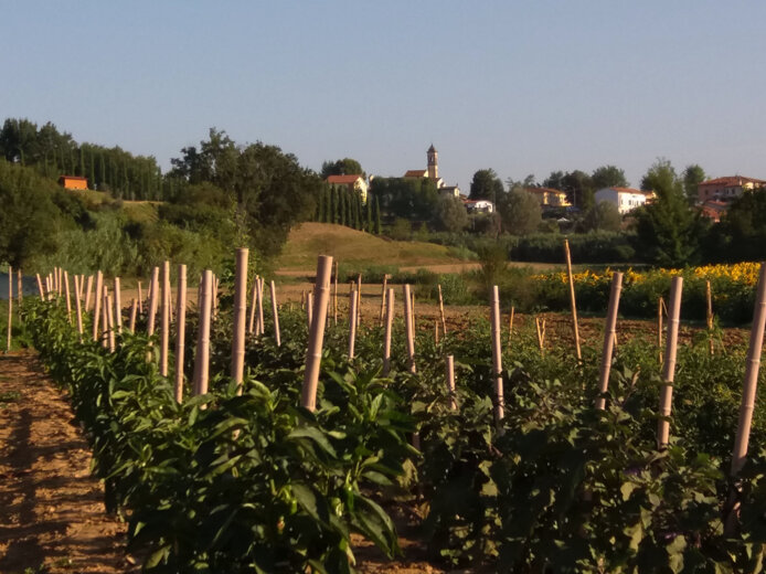 L'orto e i suoi prodotti