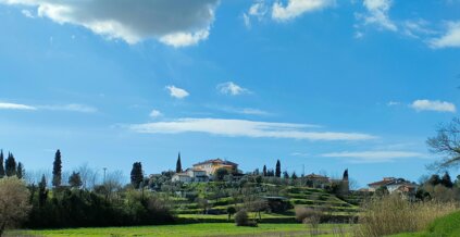 3ae2698c-7697-4e6d-830b-c27563429eb1