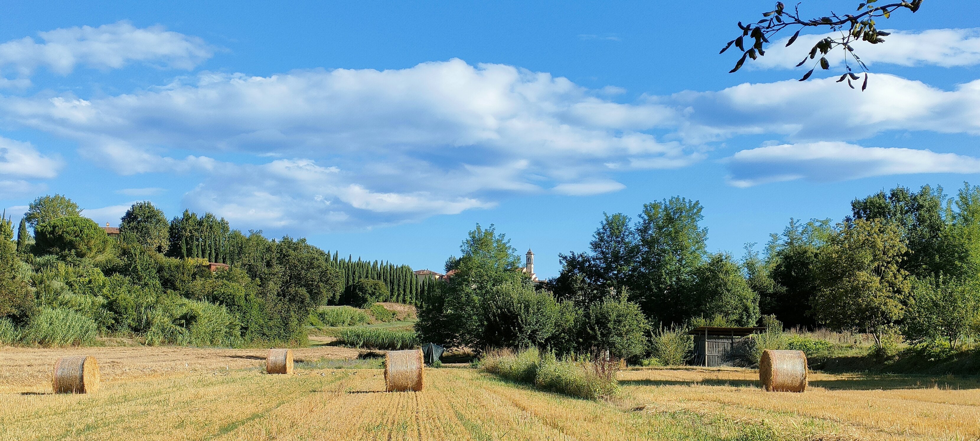 7c8c39a2-1b9c-4d2d-b8a8-93a56a489dcb