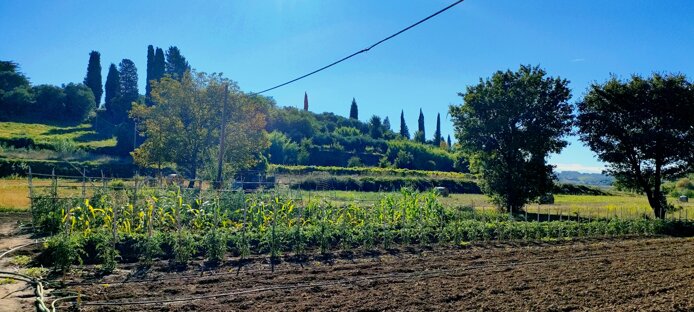 Coltivazione naturale