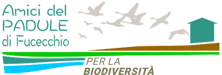 amici-del-padule-di-fucecchio-bio