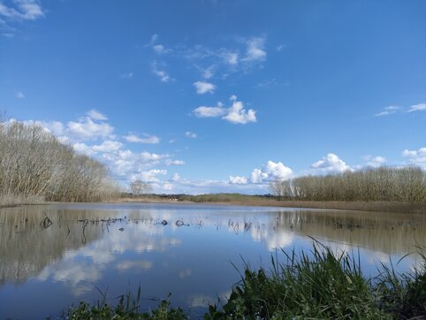 e5d0ffd8-1424-42e7-a24f-0bbb1fd6284e