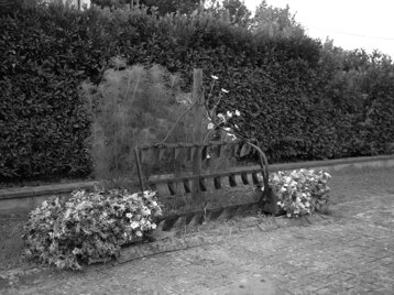 47289bd2-f198-4305-b72d-fa5a37050219