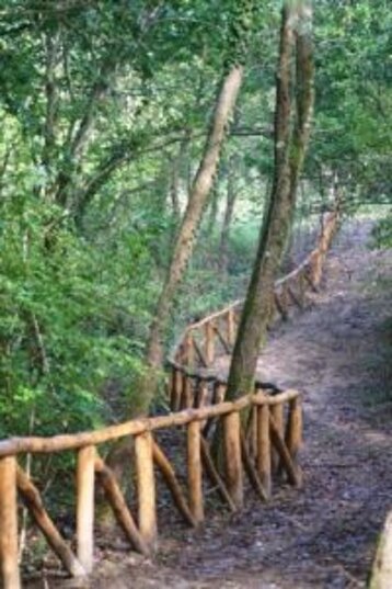 510563c6-b259-4801-8c88-209554534c48