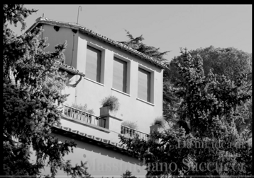 50ff89c4-8744-4949-a50f-6fdbf5720ff9 50ff89c4-8744-4949-a50f-6fdbf5720ff9