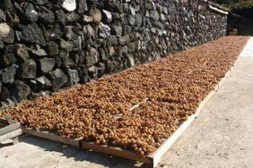 appassimento-delle-uve-a-pantelleria.jpeg