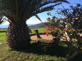 img_8186.jpeg