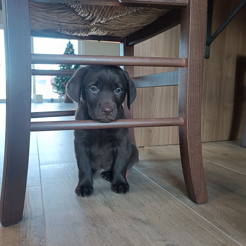 1734798248149.jpeg 1734798248149.jpeg