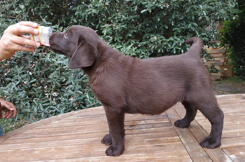 img_20220608_182212.jpeg img_20220608_182212.jpeg