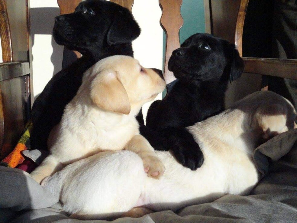 img_0527.jpeg img_0527.jpeg