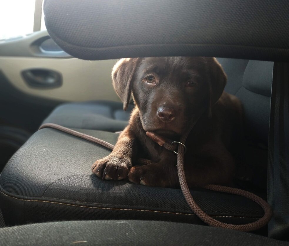 img_20190502_172121.jpeg img_20190502_172121.jpeg