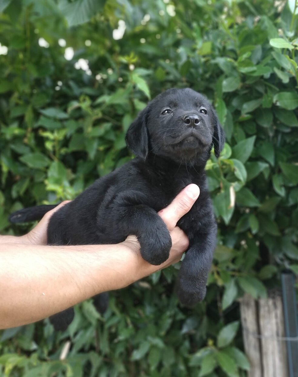 img_20190629_123519.jpeg img_20190629_123519.jpeg