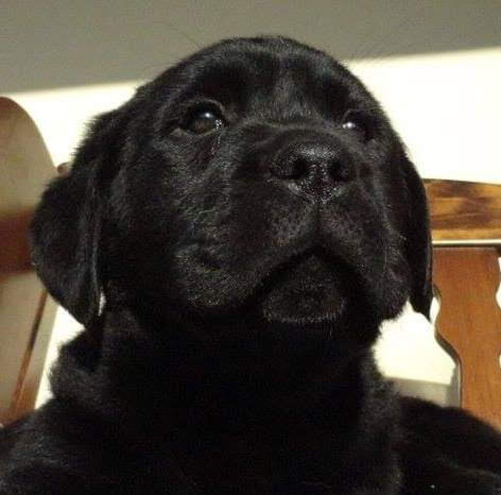 fb_img_1544137256162.jpeg fb_img_1544137256162.jpeg