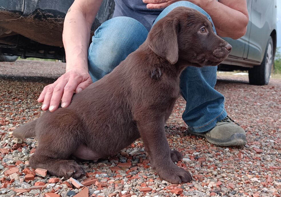 1684047371687.jpeg 1684047371687.jpeg