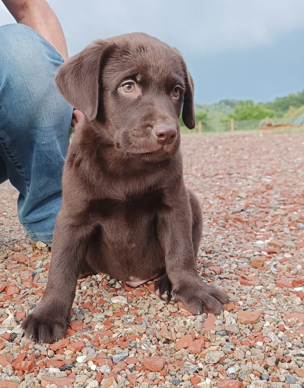 1684047371467.jpeg 1684047371467.jpeg