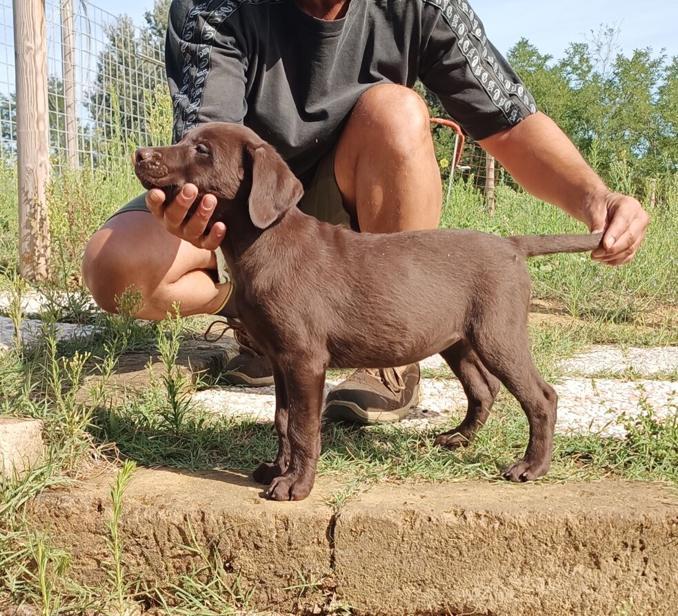 1725623088834.jpeg 1725623088834.jpeg