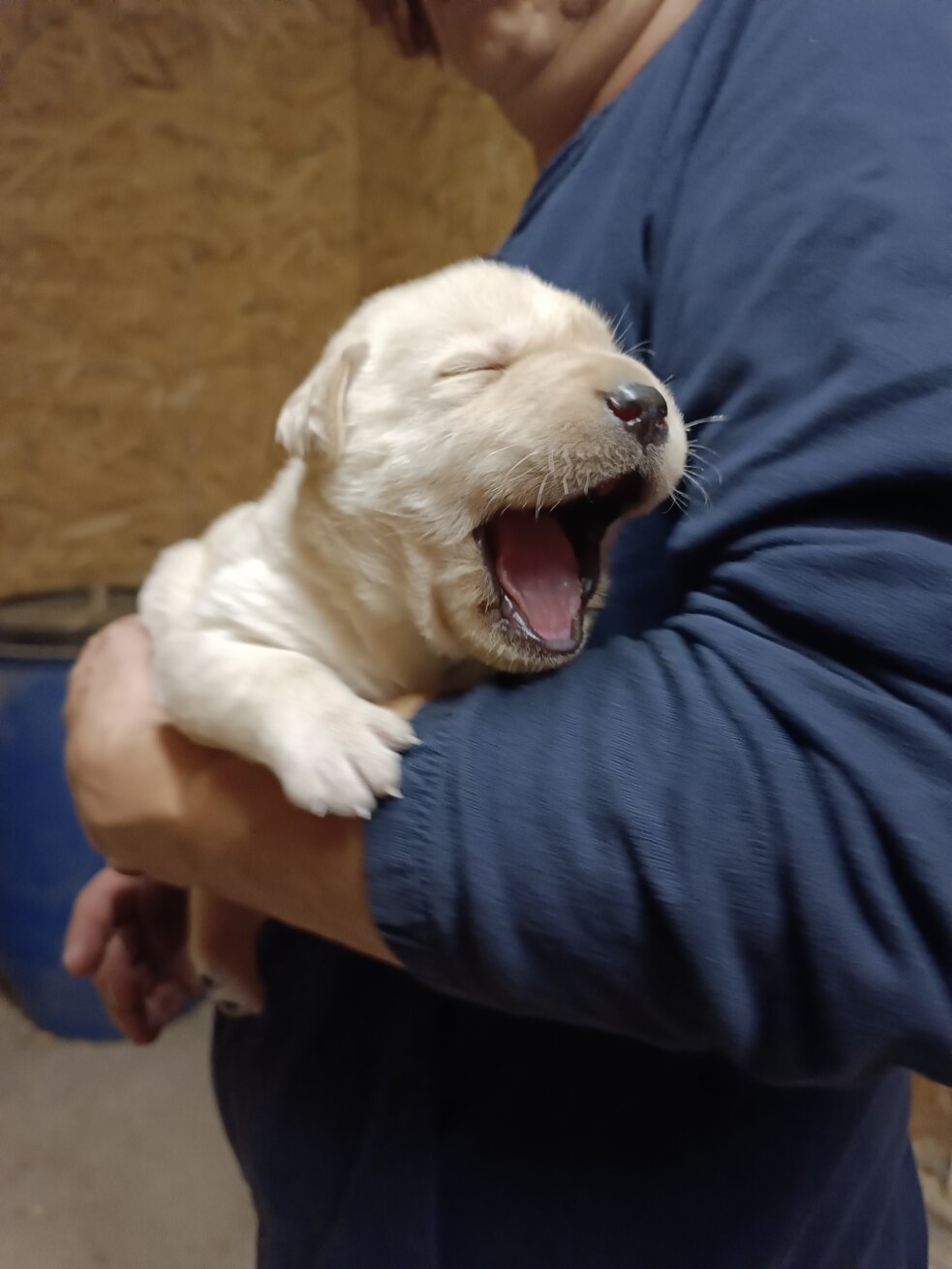 1700214047018.jpeg 1700214047018.jpeg