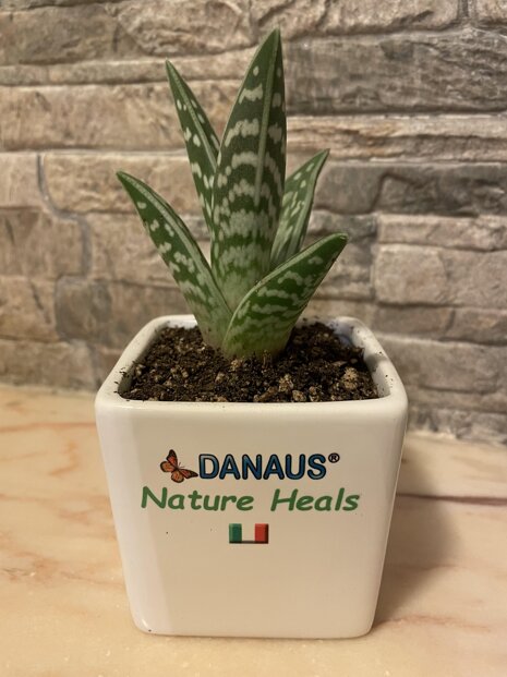 8917fd80-584b-4fb7-a667-98bd80c1210d