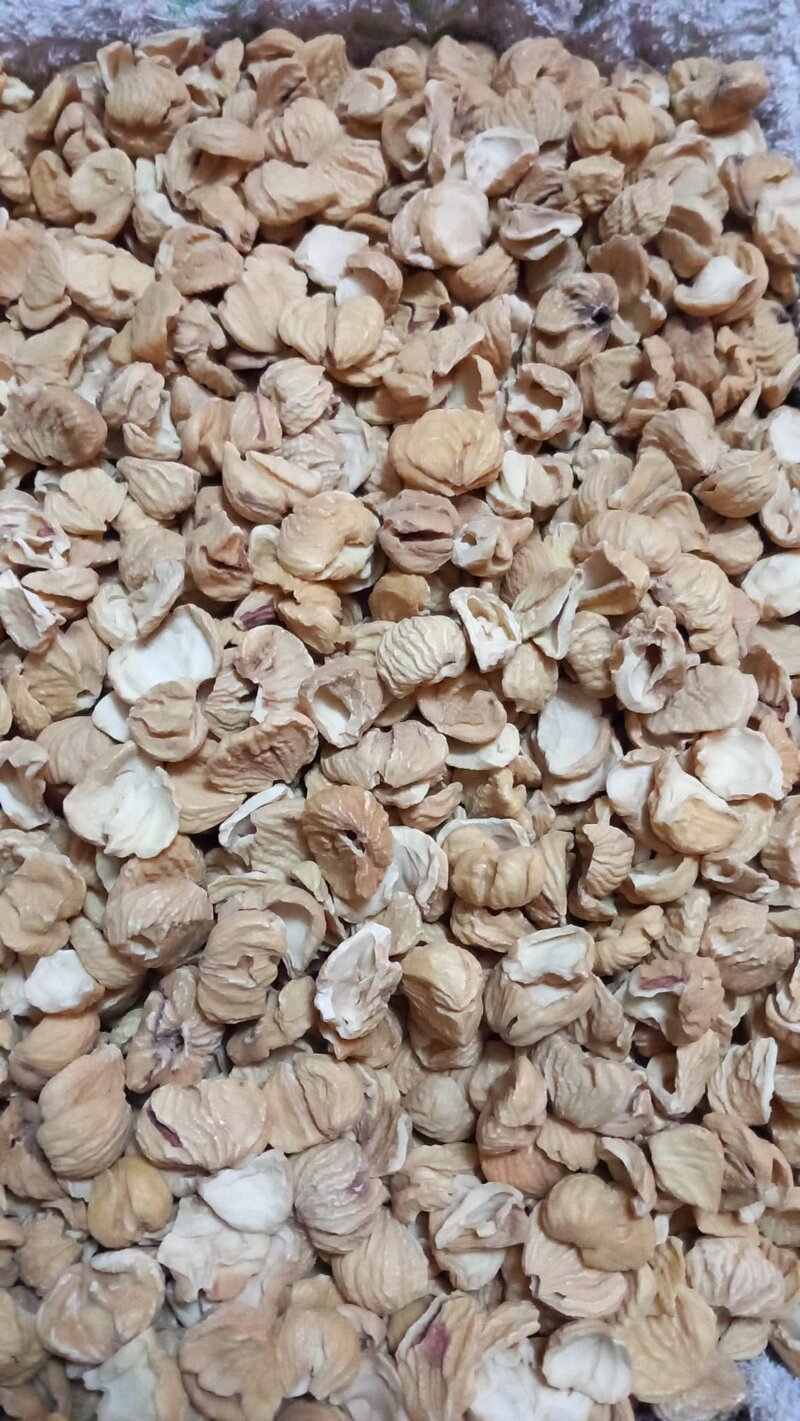 marrone-di-zocca-intero-essiccato