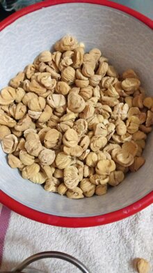 whatsapp image 2025-10-21 at 09.01.12(1).jpeg