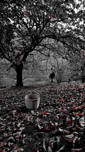 whatsapp image 2025-10-20 at 10.59.27.jpeg