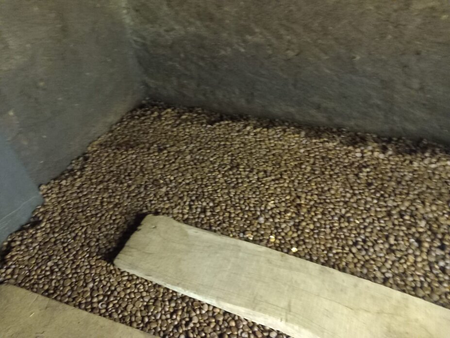 whatsapp image 2025-10-21 at 09.01.11.jpeg