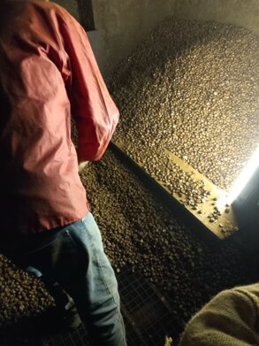 whatsapp image 2025-10-21 at 09.01.10.jpeg