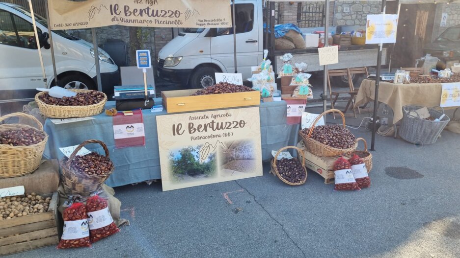 whatsapp image 2025-10-20 at 11.08.41.jpeg