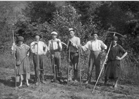 la raccolta del fieno
