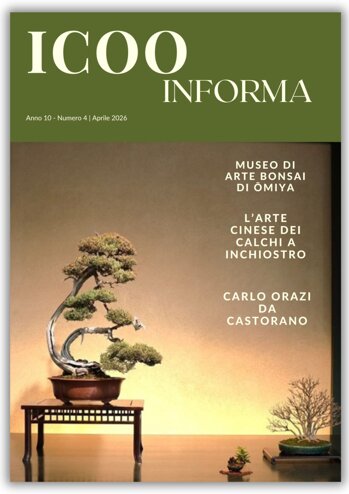 copertina icoo per sito.jpeg