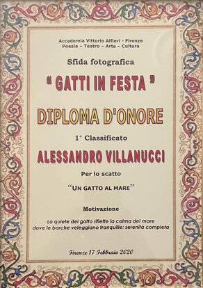 dda5c711-fa34-4a07-8774-da9606441acb