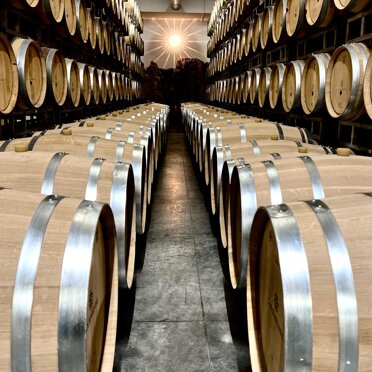 VINI Cantine Italiane ed Estere