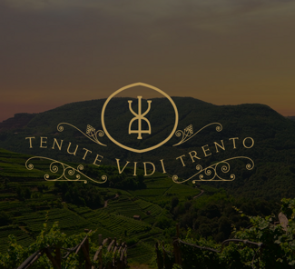 62cd9c49-2014-4d5d-8ef0-3fdc065a5a71