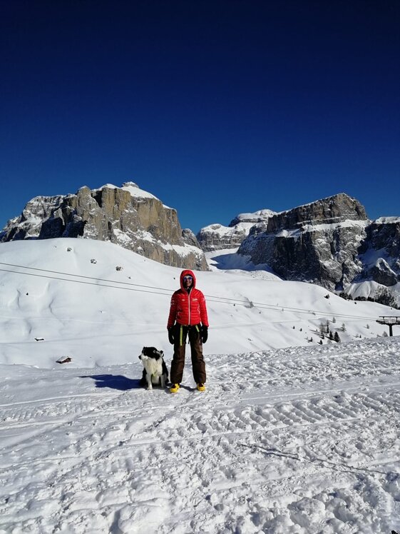 c585afe3-b049-4beb-b6ea-618a89ad2366