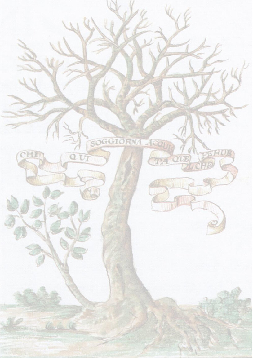 origine-insegna-scopi-organi.odt-senza-testo.jpeg origine-insegna-scopi-organi.odt-senza-testo.jpeg