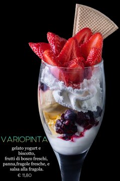 variopinta.jpeg