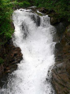 b87ac3e8-91c6-441b-90b4-9580d2a6356f