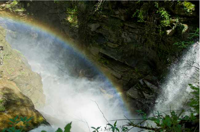 75103a90-a70d-4448-acc4-848614669da7