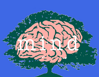 logocontrasparenza_2
