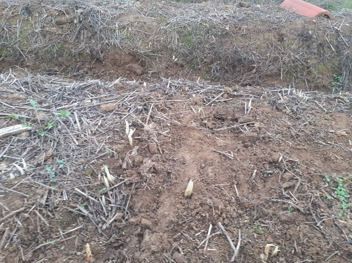 3358b1a1-c0c7-476e-88cd-62470cfbc156 3358b1a1-c0c7-476e-88cd-62470cfbc156