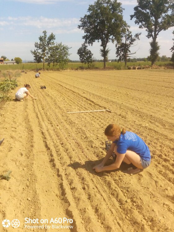 dfbafbc4-8f49-4106-b77b-add5fc83a0cf dfbafbc4-8f49-4106-b77b-add5fc83a0cf