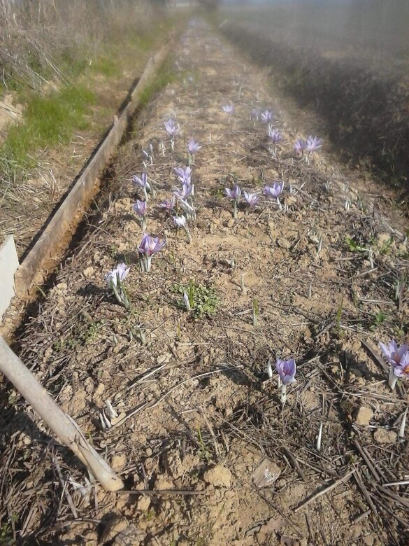 3f5f8a91-84d5-409f-9411-5e96602ab832 3f5f8a91-84d5-409f-9411-5e96602ab832