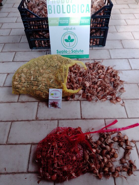 efa8a4be-3af9-404d-9627-f430f4ad8e82 efa8a4be-3af9-404d-9627-f430f4ad8e82