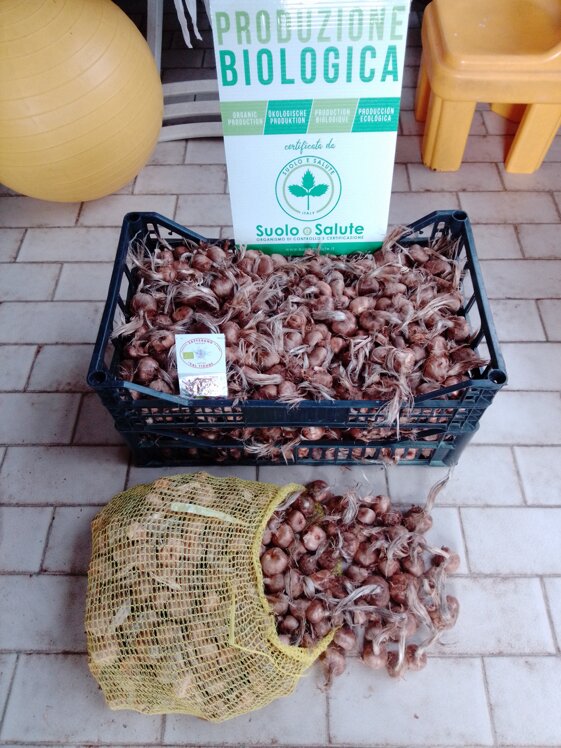 970b8e48-8350-4d8c-b278-cd5d4f3c9bb1 970b8e48-8350-4d8c-b278-cd5d4f3c9bb1