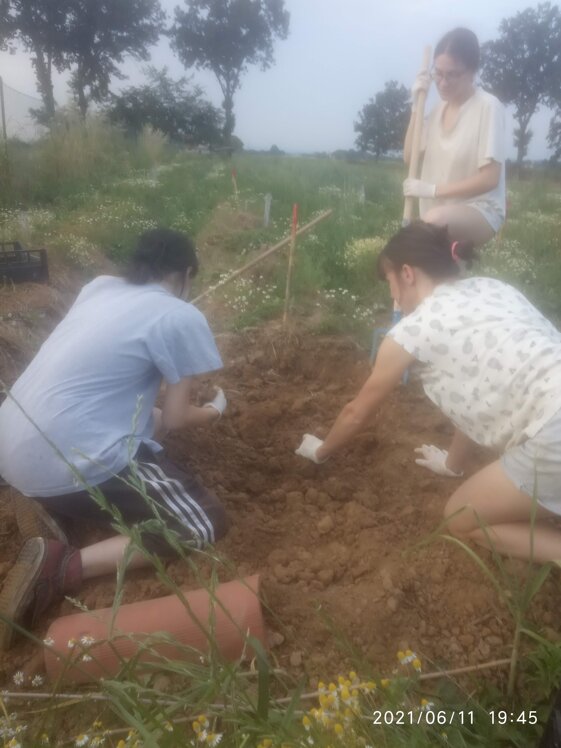 ac1c1ab3-aea5-4a1b-85cd-64a3c7e524ef ac1c1ab3-aea5-4a1b-85cd-64a3c7e524ef